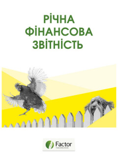 Річна фінансова звітність (знята з продажу)
